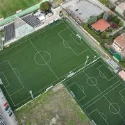 Dan — Avn Goal